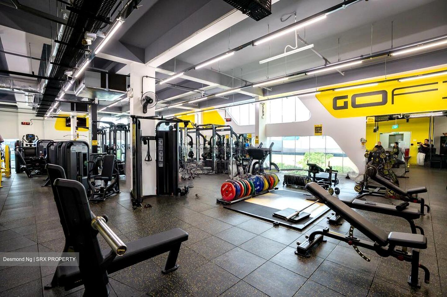 Upper Changi Road North (D17), Shop House #486730661